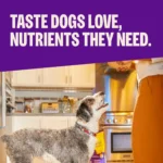 Complete Health Grain Free Natural Dry Dog Food Chicken Recipe 12 Pound Bag - Image 2