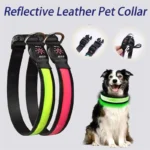 LED Dog ​​Collar Adjustable USB Rechargeable 3 Modes Waterproof Nighttime Safety Reflective Leather Light-up Suitable For Pets