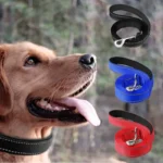 1.8mx22.5cm -meter Reflective pet dog leash dog Chain dog Walking leash Tracking rope Suitable for Small and large dogs - Image 4