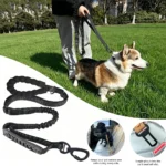 Tactical Dog Leash Heavy Duty for Medium Large Dogs Strong Bungee No Pull Dog Leash with Padded Double Handle and Car Seatbelt - Image 2
