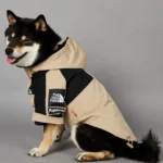 Soild Color Waterproof Dog Rain Coat S-5XL Large Dog Size Jacket Coat Windbreaker Pet Clothes 2 Legged Puppy Out Door Coat - Image 3