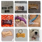 Pet ID Tag Personalized Free Engraved Keychain for Cat Puppy Dog Tag Pendant Keyring Bone Paw Bone Pet Accessories - Image 6