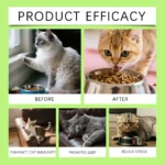 3 in 1 Cats Probiotics Drops Gut Immunity Digestive Support Beneficial Bacteria Allergy Itch Relief All Cats Multivitamin Liquid - Image 4