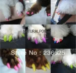 20 pcs/lot Pet Dog Finger Grooming Floor Protect Pet Dog Nail Caps Claw Control Soft Paw Caps S ,M,L,XL,XL,XXL - Image 4
