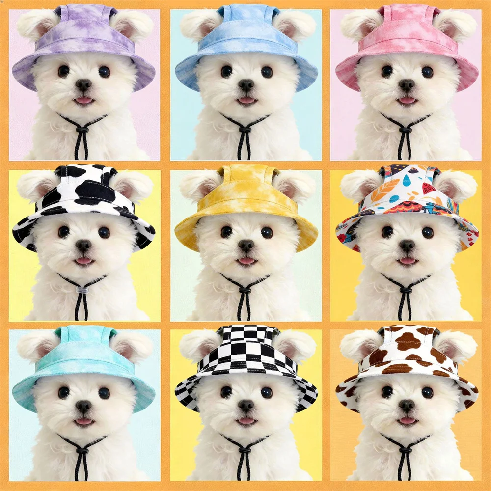 Dog Hat for Small Dogs
