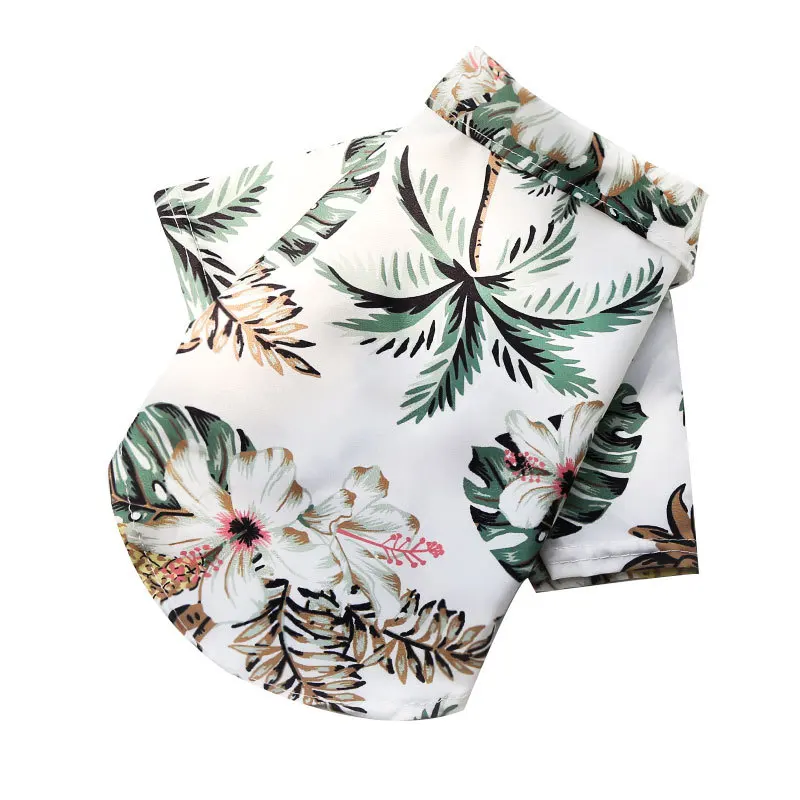 Dog Beach Outfit