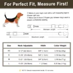 Personalized Anti-lost Dog Collar Custom Dog ID Tag Collars Soft PU Leather Pet Collars Free Engraved Metal Buckle For Bulldog - Image 6