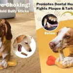 AFP 16.5cm Dog toys Anti-asphyxiation Dog Toothbrush Holder Toy Chew Stick Biting Stick Nylon Stand Freshens Breath Chewing Toy - Image 6