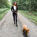 Adjustable Hands-Free Dog Leash, Suitable for Hiking, Walking, and Running - Reflective, Comfortable Elastic Leash in Various Colors (Orange, Pink, Black, Blue, Purple) - Durable Polyester Fiber, Machine Washable, Hiking Accessories - Image 4