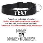 Personalized Dog Collar Custom Pet Customized ID Collar Name and Phone Number Nylon Necklace Small Medium Large Accessories - Image 2