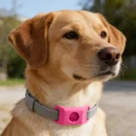 Pendant Flea And Tick Pendant For Dogs Natural Ingredients Against And Ticks. (Green One Size Fits All) Leopard Bow Tie Dog - Image 2
