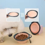 Pet Food Bowl Cat and Dog Food Pet Silicone Collapsible Portable 2 In 1 Pet with Carabiner Bottle Outdoor Travel Water Container