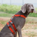 Winhyepet Anti-Slip Dog Harness YH1803, No Pull Soft Vest, High Visibility Reflective Straps for Dogs & Puppies
