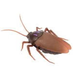 Infrared Remote Control Fake Cockroache Toy Animal Insects Scary Funny Trick Bugs - Image 2