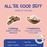 Daily Feeding Probiotic Mixed with Turkey Tail Extract Optimize Pet Intestinal Environment Boost Immunity for Cats and Dogs Use - Image 5