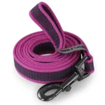 5M/1.5M/3M/2M Medium small Long Dog Leash Latex Silk Easy and Convenient Training Big Dual color dog leash 10 meters - Image 2