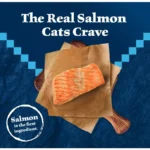 Wilderness Natural High Protein Dry Food for Adult Cats, Salmon, 4-lb Bag - Image 3