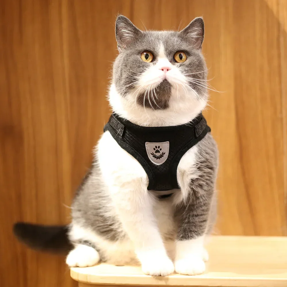 Cat Harness Lead Leash Set