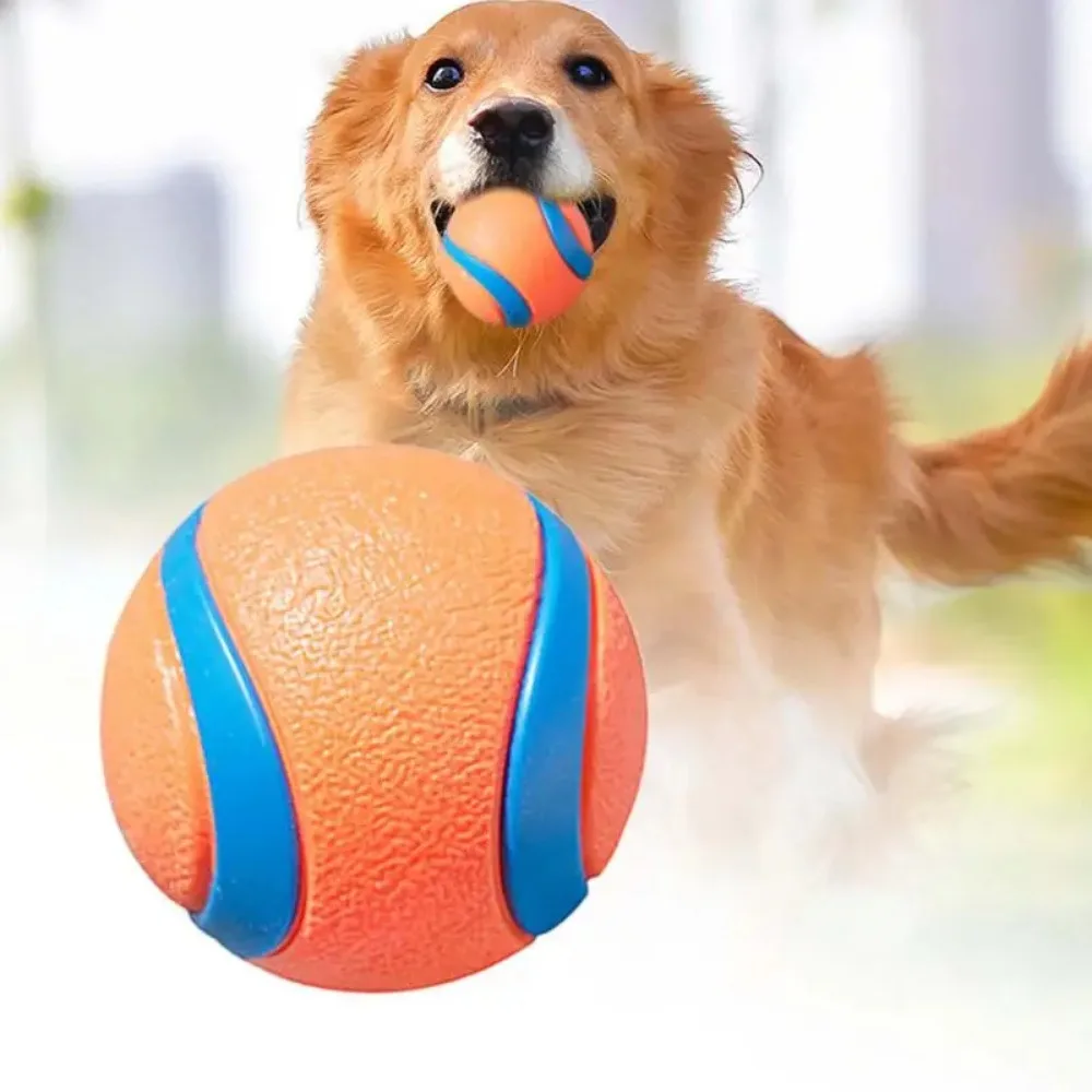 kf-Sb2190d2700e44bae9cc7c6d5403ee4d6R Dog Toy Ball Dog Fetch Ball Toy Tough Pet Ball Puppy Chew Toy Solid Elastic Jumping Ball Pet Accessories For Large Medium Small - Image 1