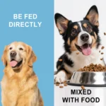Dog Nutrition Powder Promote Digestion Balance Gut Flora Boost Vitality Improve Health Support Immune System Daily Easy Absorb - Image 2