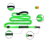 Hand Free Dog Leash for Pet Walking Running Jogging Adjustable Dog For Running Dual Bungee Reflective For Large Pet Supplies - Image 3