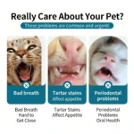 3 Pcs Pet Toothbrush Soft-bristled Toothbrush Designed For Easy Cleaning Teeth Of Cats & Dogs Suitable Small To Large Dogs, cats - Image 2