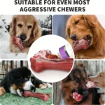 Silicone dog bite toy, natural rubber non-toxic, suitable for strong biting dogs, interactive cleaning of teeth bones, - Image 7