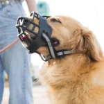 1pc/2pcs Medium And Large Dog Comfortable Breathable Muzzle Guard Anti-Barking Muzzle Basket Pet Mask for Medium to Large Dogs - Image 5