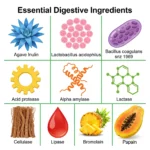Digestive Enzymes for Bloating & Digestion-with Organic Prebiotics & Probiotics for Gut & Digestive Health, Non-GMO, Gluten Free - Image 5