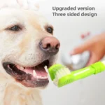 3-Head Pet Toothbrush Dogs Oral Cleaning Soft Bristle Toothbrush for Small Breed Easy Grip Handle Gentle on Gums Reduce Plaque - Image 5