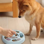 Dog Food Hiding Bowl, Slow Food Training, Dog Educational Toy To Relieve Boredom, Interactive Educational Feeding Toy - Image 6