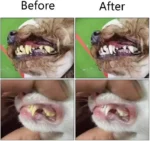 Soft Silicone Pet Finger Cots Toothbrushes Dog Brush Bad Breath Teeth Care Cleaning Tool Cat Scrub Pet Tooth Cleaner Supplies - Image 3
