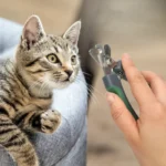 Professional Pet Nail Clipper Dog Cat Nail Clippers Stainless Steel Scissors Cat Dog for Claw Care Grooming Supplies - Image 6