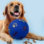 Dog Treat Ball, Slow Feeder Food Dispenser Toy for Cats & Dogs, Interactive Leakproof Rubber Chew Ball for Play & Training - Image 6