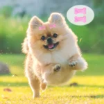 100/200pcs Dog Hair Clips Multicolor Barrettes Small Bone Snap Hair Clips for Dogs Cat Pet Grooming Bows Hair Accessories - Image 4
