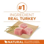 Dry Dog Food for Purina One Plus High-Protein Healthy Weight Formula Authentic Turkey - Image 4