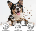 Bacon Flavor Dog Probiotic Powder Gut Flora Balance Digestive Aid Intestinal Health Care For Puppy Adult Dogs - Image 3