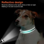Dog Collar with Airtag Holder Ultra-Durable Comfortable Padded Heavy Duty Dog Collars for Small Medium Large Dogs - Image 5
