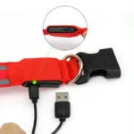 Reflective Dog Collar Luminous Night Safety Usb Rechargeable LED Dog Collar Light For Small Dogs Cat Pet Collar Para Perro XS-XL - Image 3