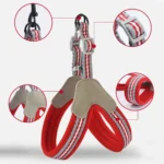 Adjustable Breathable Pet Harness Leash Dog Cat Prevent Breakaways Chest Strap Vest Leashes Pet Supplies for Small Medium Pet - Image 5