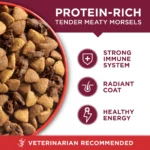 Small Bites Dry Dog Food for Adult Dogs with Added Vitamins & Minerals, High Protein Beef & Rice, 16.5 lb Bag - Image 3