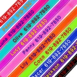 Personalized Nylon Embroidered Dog Collars Customized Puppy ID Name Collar for Small Medium Large Dogs Adjustable Pet Collar - Image 3