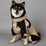 Soild Color Waterproof Dog Rain Coat S-5XL Large Dog Size Jacket Coat Windbreaker Pet Clothes 2 Legged Puppy Out Door Coat - Image 5