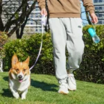 Pet Dog Water Bottle 300ML Puppy Drinking Bowls For Small Medium Dogs Cats Hiking Portable Cat Feeder Golden Retriever Supplies - Image 10