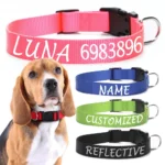 Personalized Dog Collar Custom Pet Customized ID Collar Name and Phone Number Nylon Necklace Small Medium Large Accessories