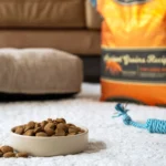 Ancient Grains Chicken Turkey Dog Food for Large Breeds All Life Stages 22 lb Bag - Image 3