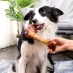 5.29-6.70oz/(150-190g) 6.30in/16cm Large Cow Bone, All Natural Ingredients, Natural Dog Treats, Healthy, Easily Digestible - Image 2