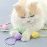 4Pcs/set Colorful Cotton Rope Ball Cat Toys Interactive Pet Toy for Cats Kittens - Image 2