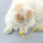 4Pcs/set Colorful Cotton Rope Ball Cat Toys Interactive Pet Toy for Cats Kittens - Image 3