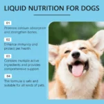 Strong Bones Pet Vitamin Supplement Drops Promote Calcium Absorption Boost Immunity Enhance Vitality Dietary Supplement Drops - Image 3